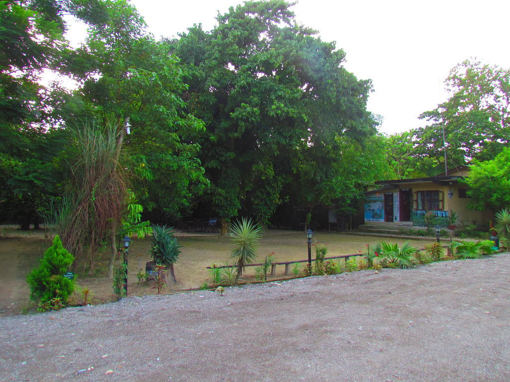 Chitwan Gaida Lodge Sauraha Exterior foto
