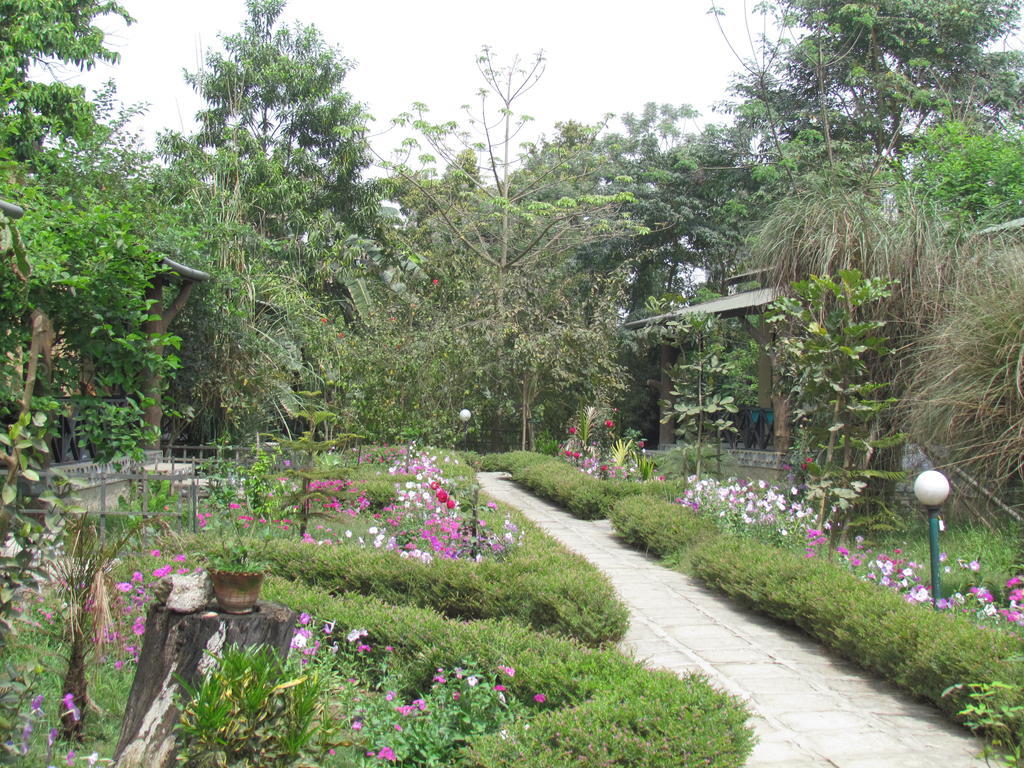Chitwan Gaida Lodge Sauraha Exterior foto