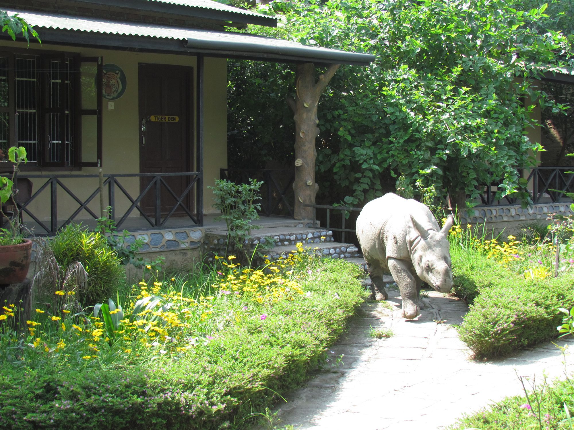Chitwan Gaida Lodge Sauraha Exterior foto